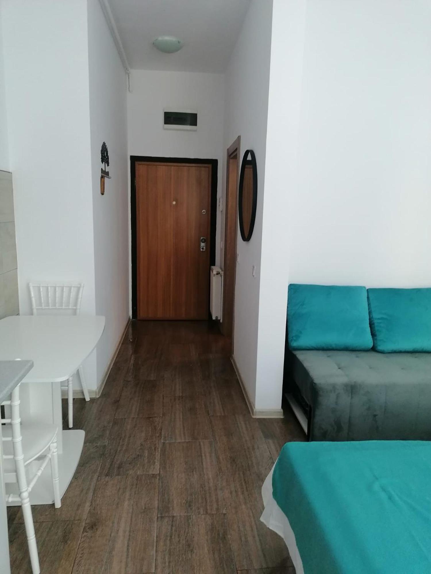 Garsoniera Papaya Beach Apartment Navodari Luaran gambar